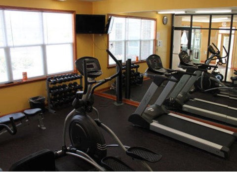 a gym with a lot of exercise equipment in it