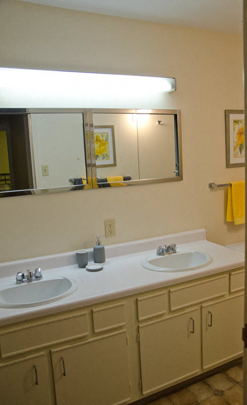 a bathroom with two sinks and a mirror