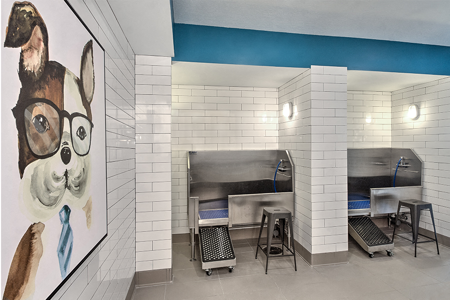 The Encore South Park on-site pet spa Charlotte NC - SouthPark