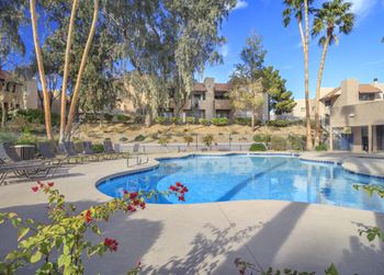 a large swimming pool with trees and buildings in the background at Desert Bay Apartments, Laughlin