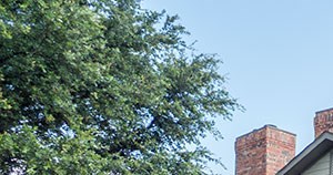 Autumn Chase Apartments 4600 N Josey Lane Carrollton