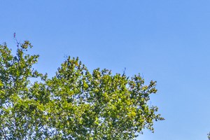 TimelessCommunity Hawthorne at Southside sparkling swimming pool - Photo Gallery 4