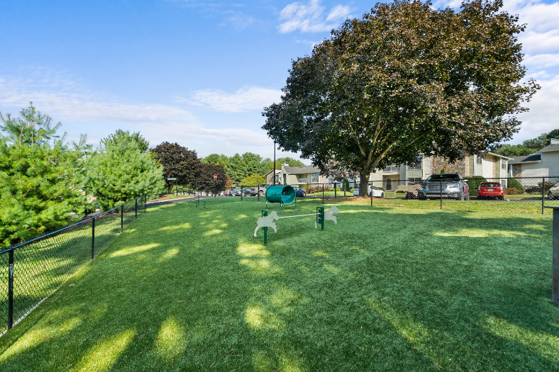 Amenities pet park with agility equipment