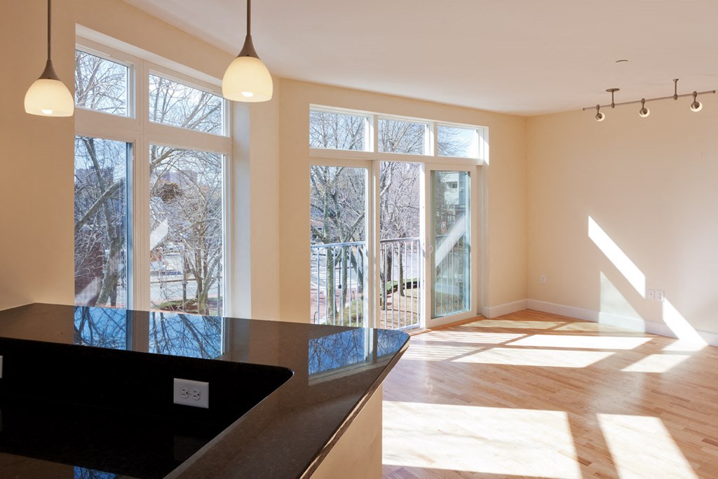 Oversize Windows at 7 Cameron, Cambridge, MA 02140