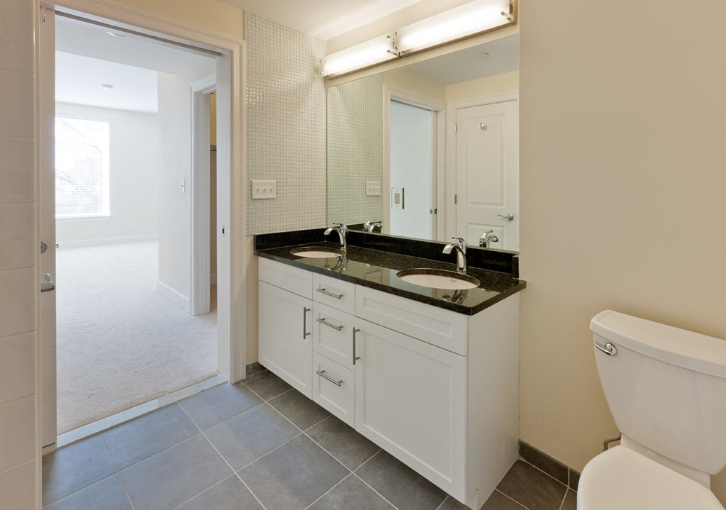 Double Raised Bowl Bathroom Sinks at 7 Cameron, Cambridge, MA 02140