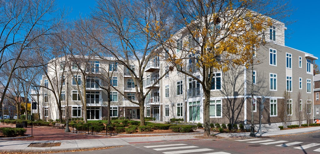 Beautiful Surroundings at 7 Cameron, Cambridge, MA 02140