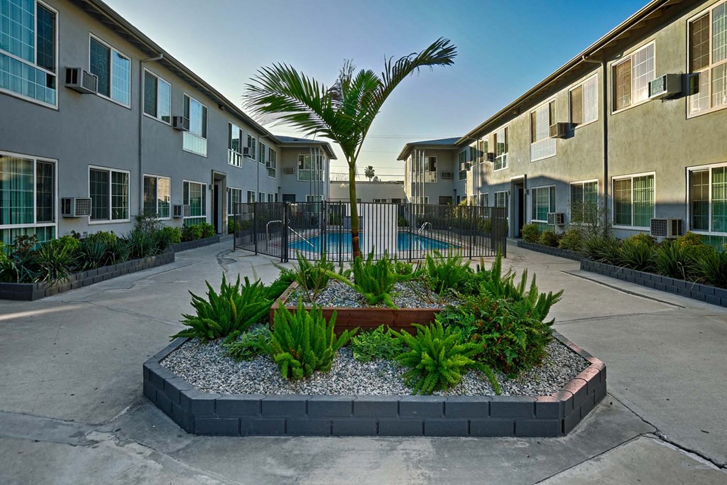 a courtyard with a palm tree in the middle of an apartment building