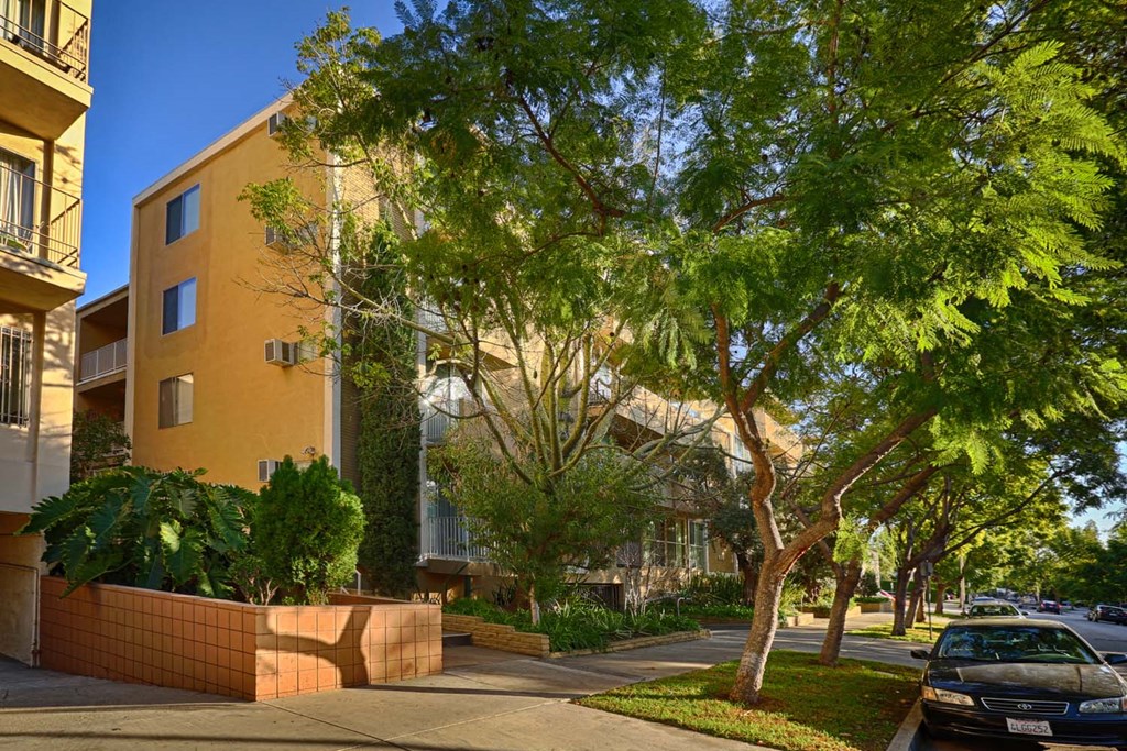 a tree in front of an apartment building
