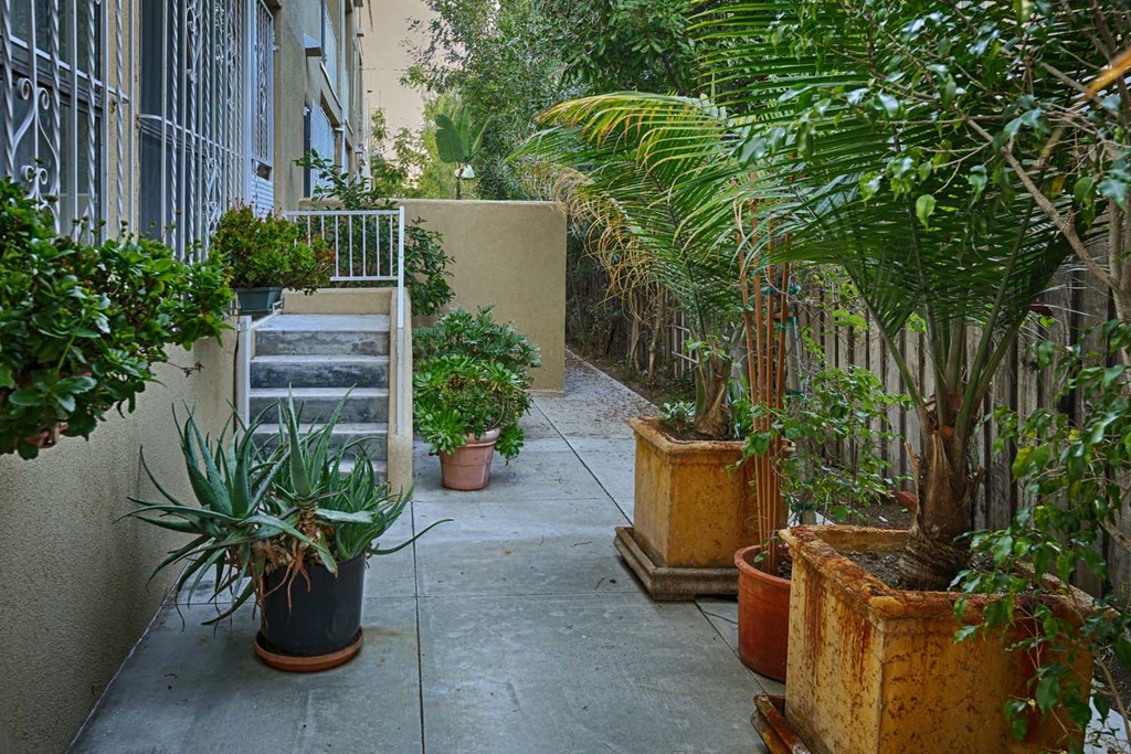a courtyard filled with potted plants and a staircase