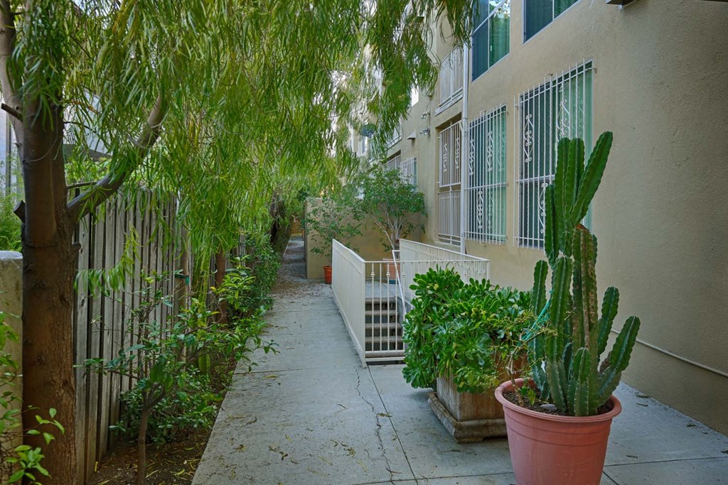 a side walk with plants and a fence