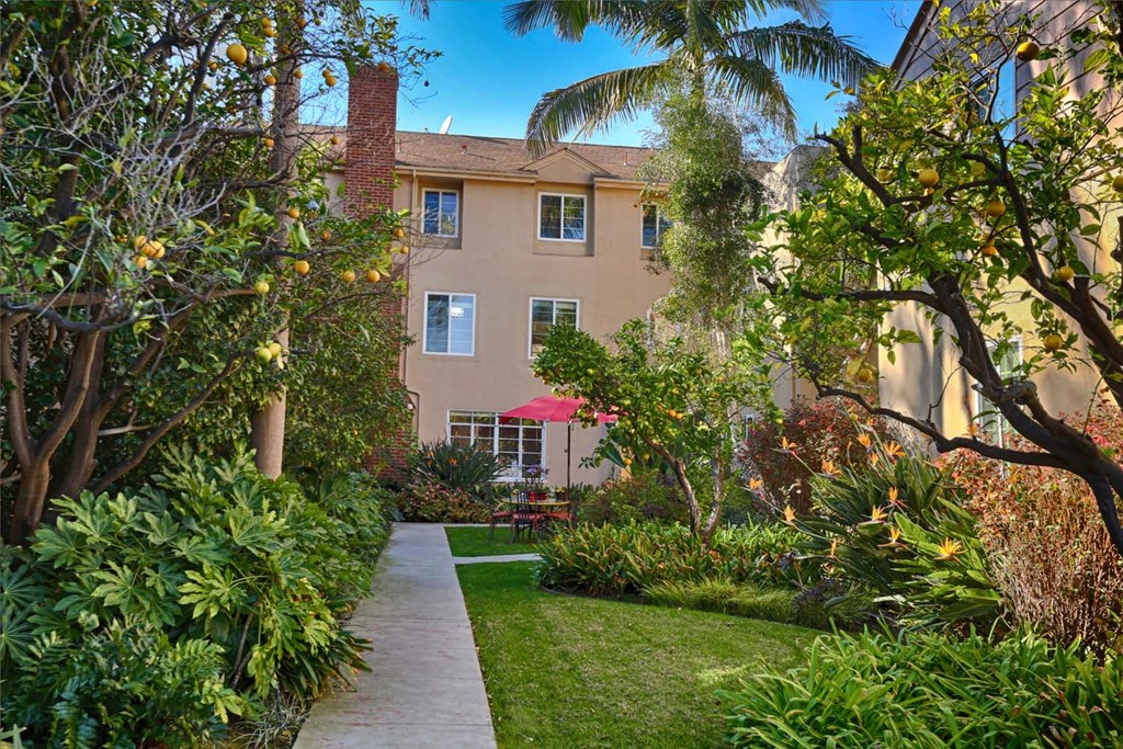 a courtyard with a path and a building in the background