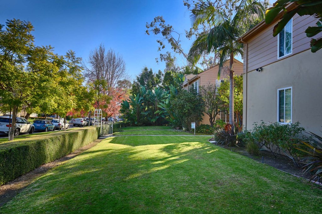 a backyard with a house and a lawn