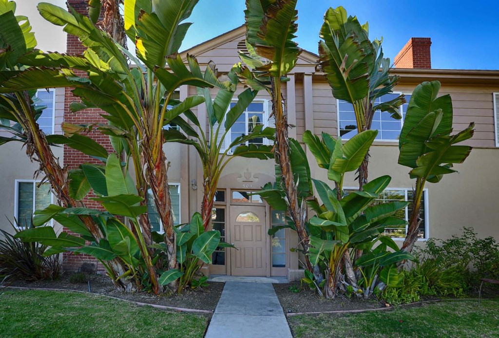 a house with banana trees in front of it