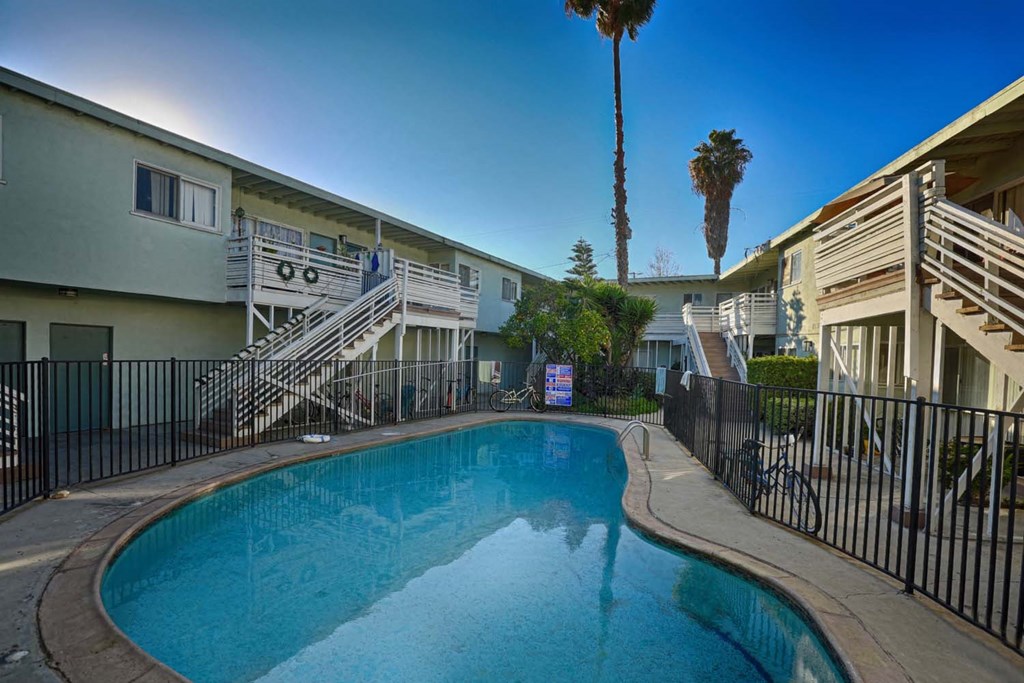 the swimming pool at the resort has a palm tree
