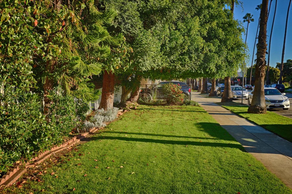 a city street with green grass and trees