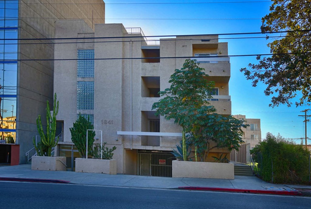 an apartment building with a street and a tree in front of it