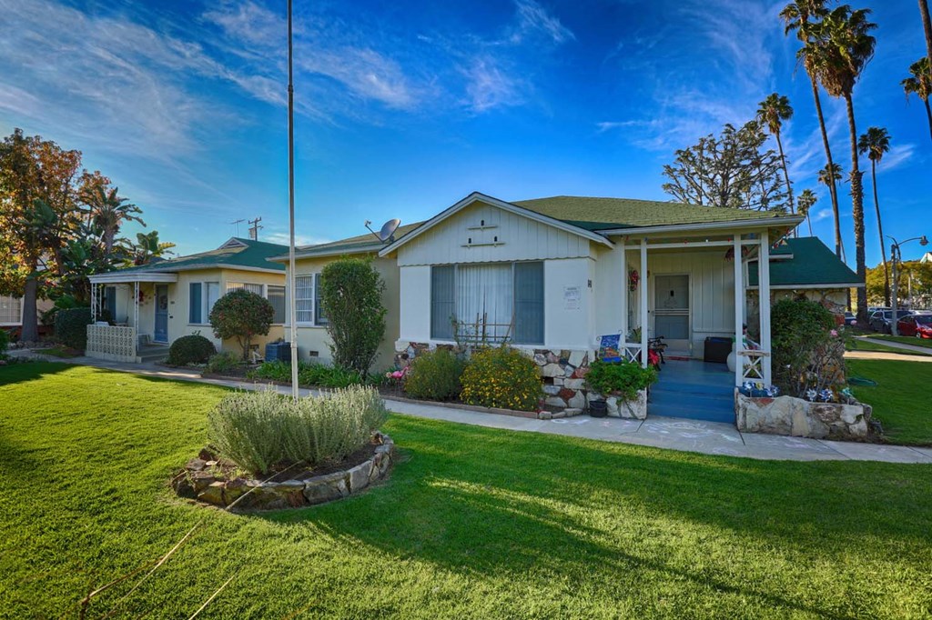 a house with a lawn and a palm tree