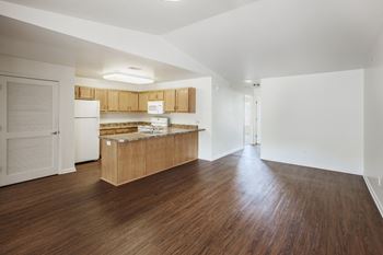 Shaker Style Cabinets*