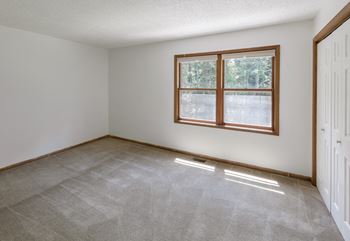 Stain-Resistant Carpeting and Hardwood Flooring *
