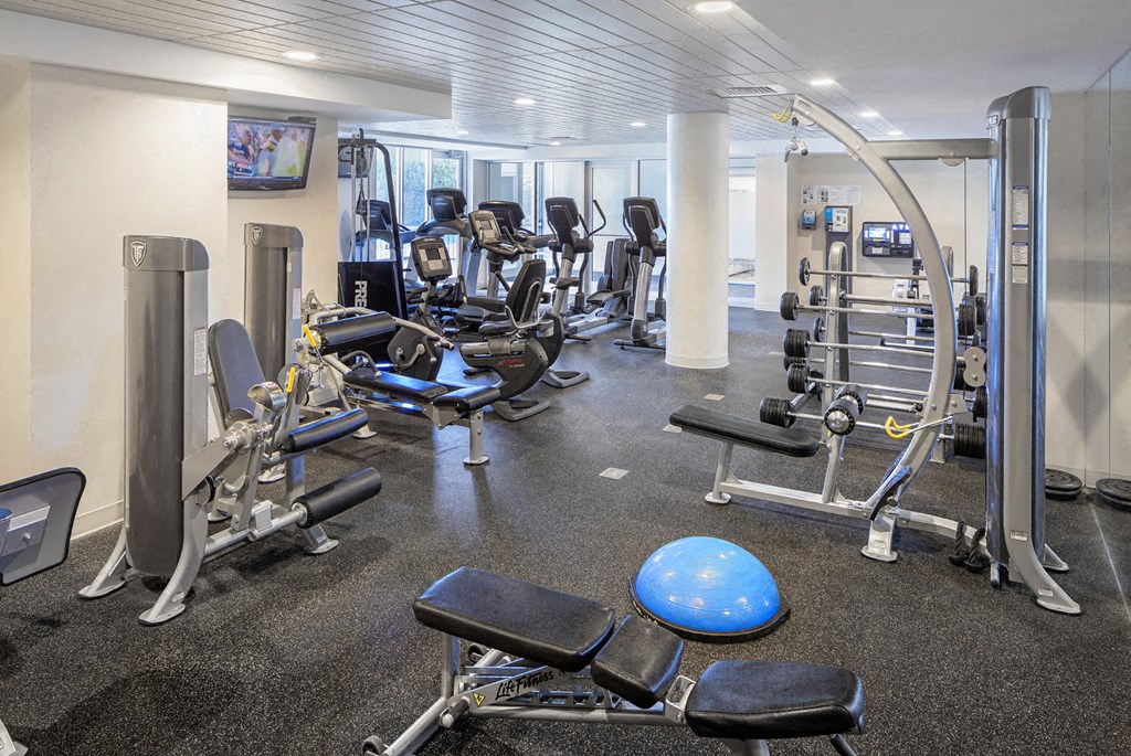 a gym with cardio equipment and weights on the floor