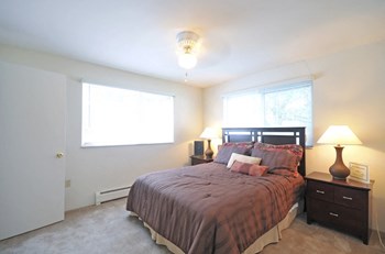 3422 Cintonya Drive 1-2 Beds Apartment for Rent - Photo Gallery 3