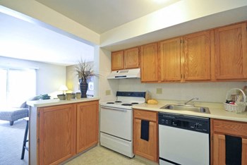 3422 Cintonya Drive 1-2 Beds Apartment for Rent - Photo Gallery 2