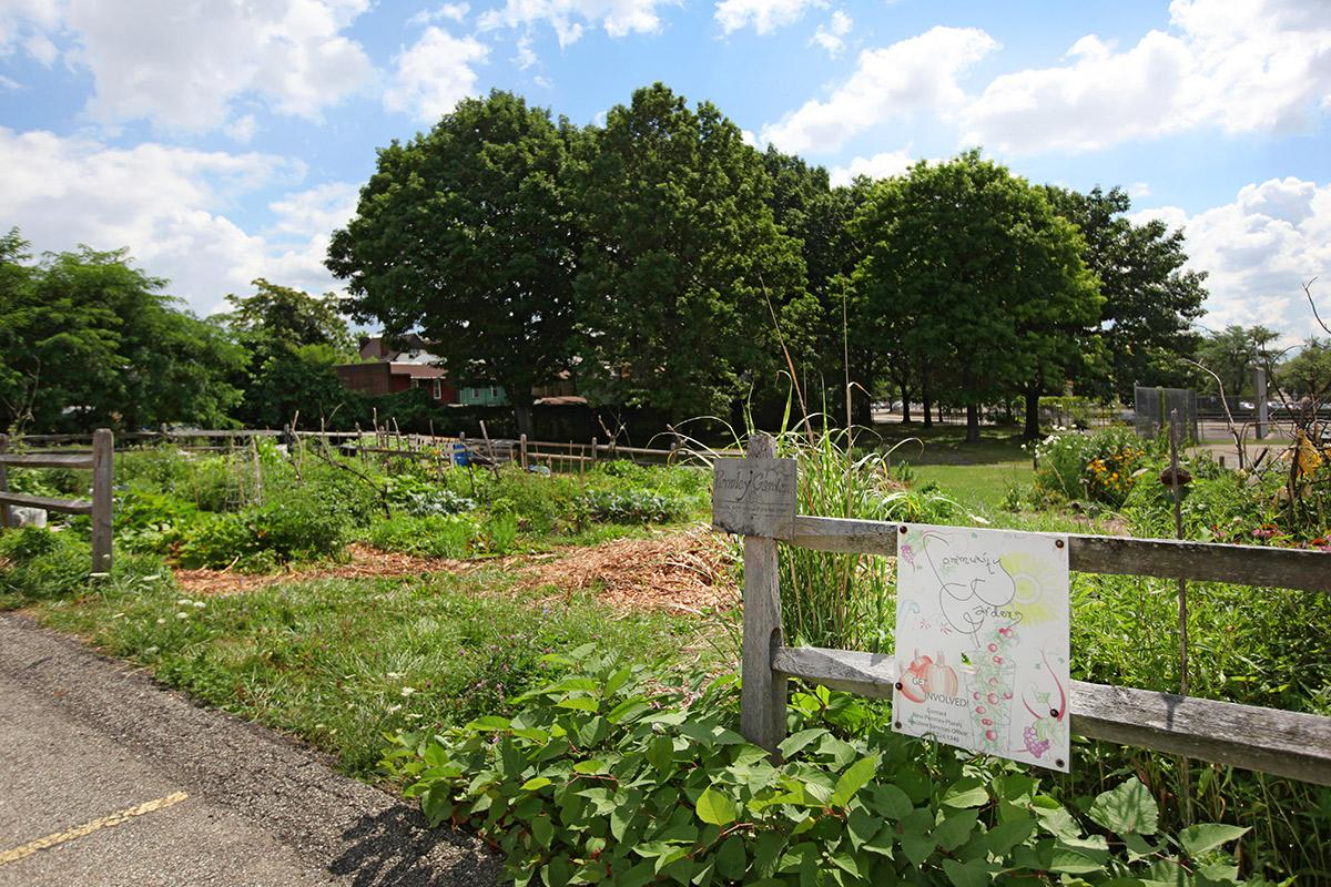 a garden with a sign on a fence