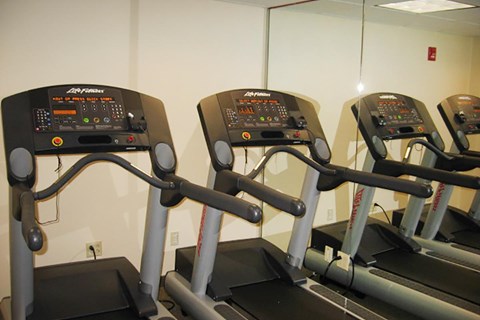the gym has several machines in the new gymnasium