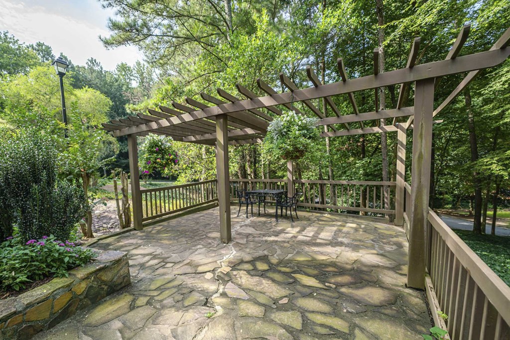 Picnic Area at The Villas on Briarcliff, Atlanta GA 30329