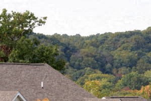 1761 E. Waterford Ct. 1-4 Beds Apartment for Rent - Photo Gallery 5