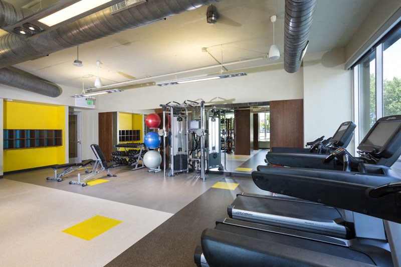 the gym has cardio equipment and weights in the wellness center