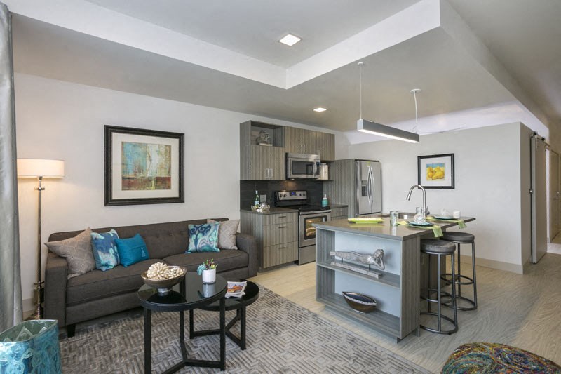 a living room with a kitchen and a couch