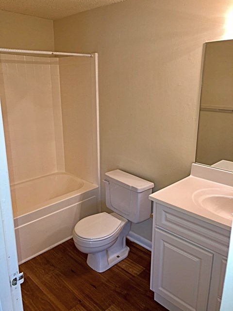 a bathroom with a toilet and a tub and a sink
