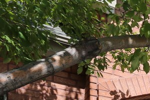 7 Floor Building >> Photos and Video of The Vintage at Hyland Hills in ... 7 Floor Building >> Photos and Video of The Vintage at Hyland Hills in ...
