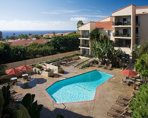 A large swimming pool surrounded by chairs and umbrellas in a resort.