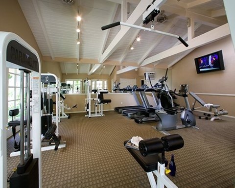 A gym with a variety of equipment including treadmills, weights, and a television.