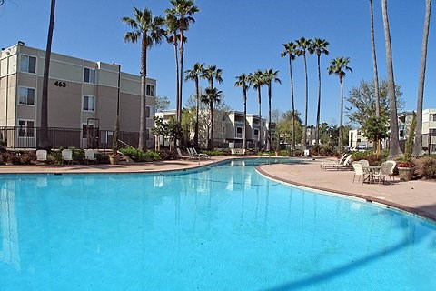a large swimming pool with palm trees and apartment buildings