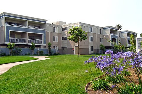 an apartment building with green grass and purple flowers