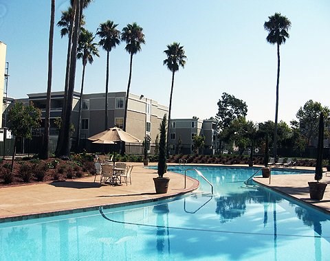 a swimming pool with palm trees and tables and chairs