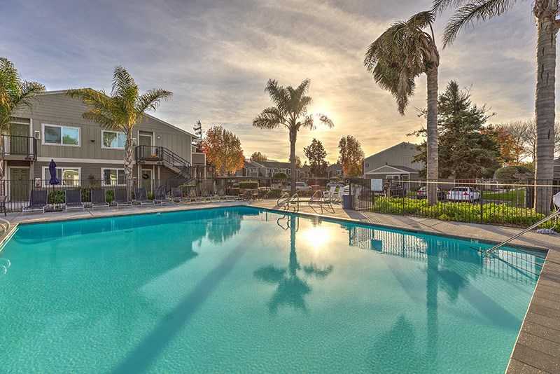 Shimmering Pool at VINE BY VINTAGE Apartments, Lompoc, 93436
