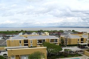 Porirua new zealand gay matchmaking Porirua new zealand gay matchmaking