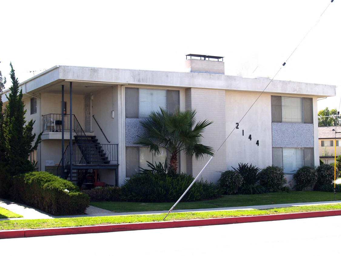 a white building with a palm tree in front of it