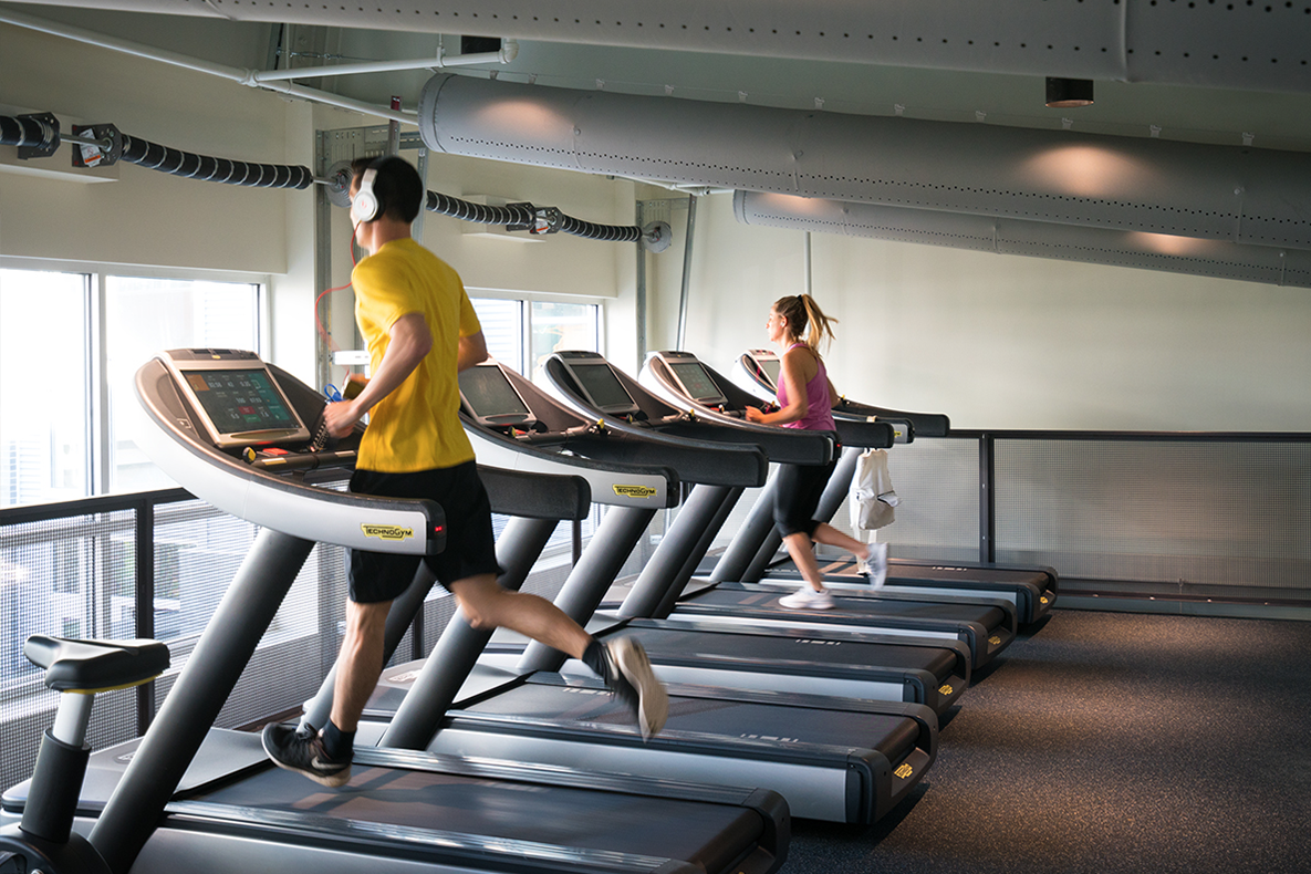 Bakery Living Blue Gym