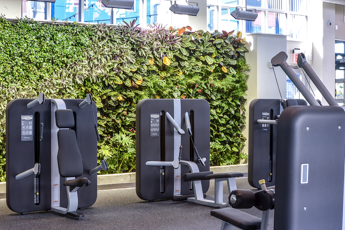 Bakery Living Blue Gym