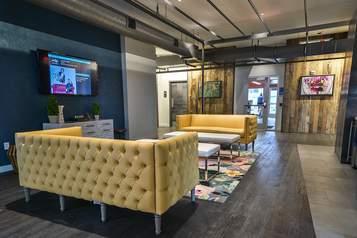 Bakery Living Orange Lounge