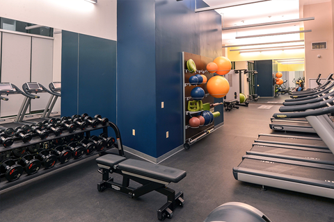 a gym with cardio equipment and weights on the wall