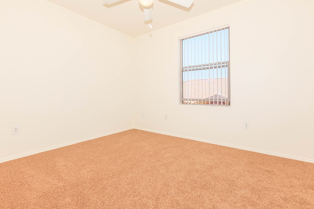 a room with carpet and a window