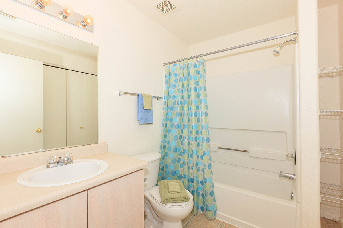 a bathroom with a shower and a sink and a toilet