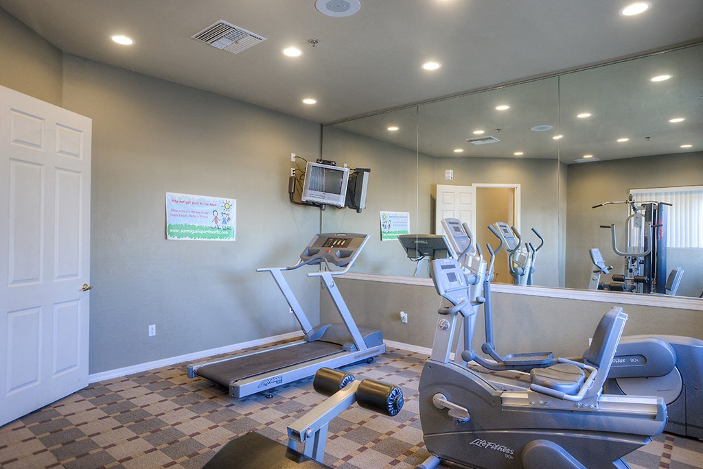 a gym with cardio equipment and a tv on the wall