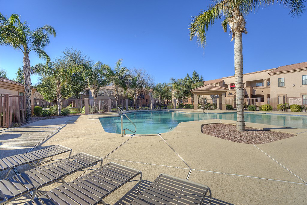 our resort style swimming pool is surrounded by palm trees and our apartment buildings